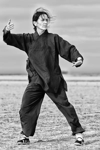 Exercício energético tradicional chinês — Fotografia de Stock