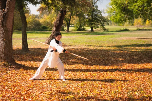 Frauen praktizieren Kung Fu — Stockfoto