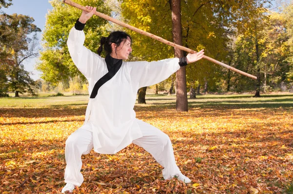 Kobieta praktykowanie kung fu — Zdjęcie stockowe