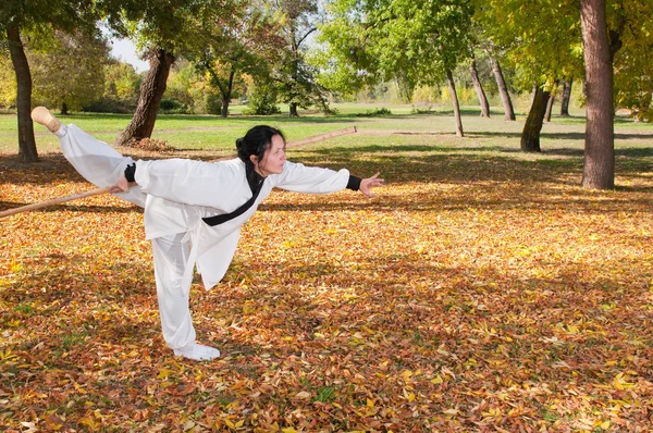 Female martial arts master practicing