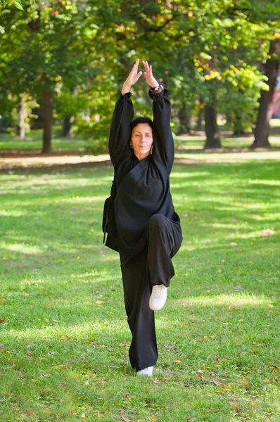 Femme faisant Tai Chi dans le parc — Photo