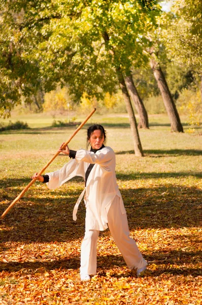 Woman training Kung Fu — Stock Photo, Image
