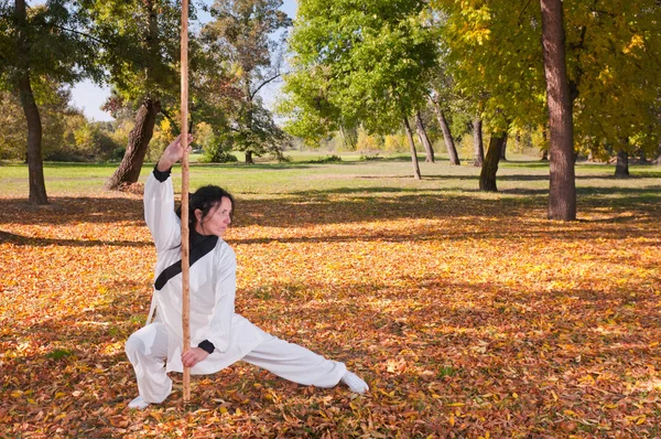 Kung Fu master beoefenen — Stockfoto