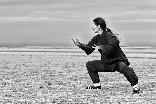 Exercício energético tradicional chinês — Fotografia de Stock