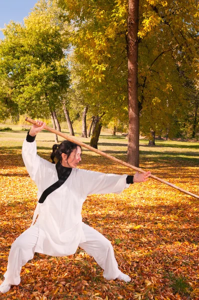 Mladá žena, která dělá Kung-Fu — Stock fotografie