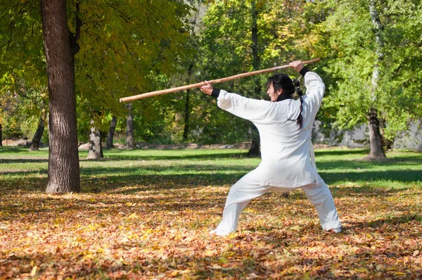 Female Kung Fu master with stick — Stock Photo, Image