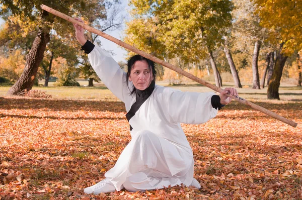 Kung Fu master with stick — Stock Photo, Image