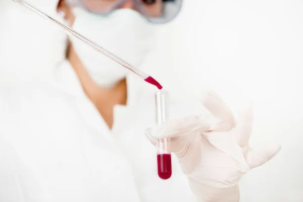 Лаборант проверяет кровь — стоковое фото