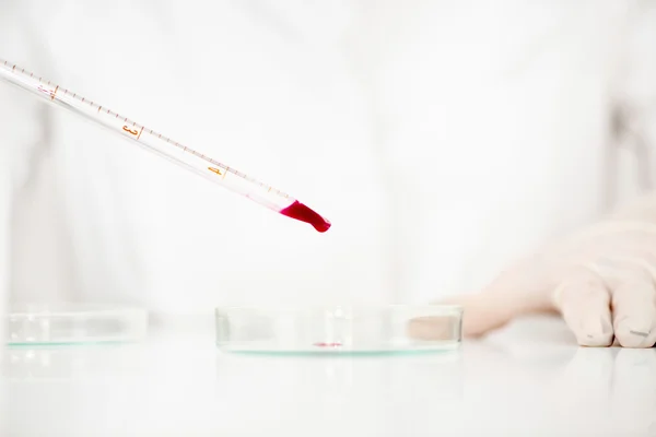 Technician working with blood sample — Stock Photo, Image