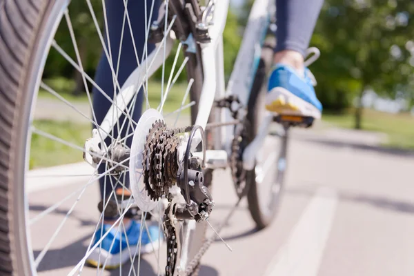 Pneumatico per bicicletta su strada — Foto Stock