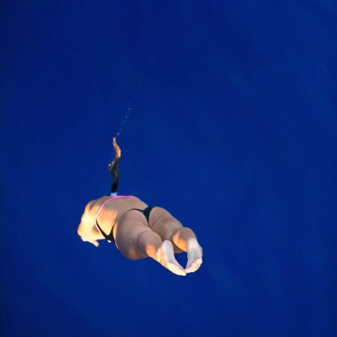 Female diver in flight clipart
