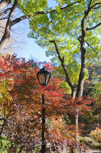Осенние цвета в Центральном парке — стоковое фото