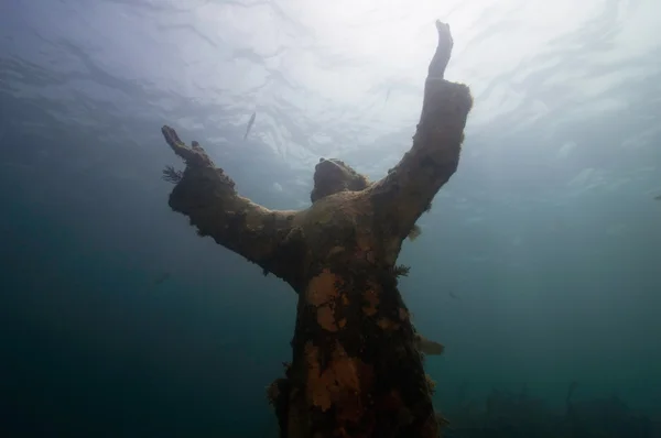 Statua religiosa subacquea incrostata di coralli — Foto Stock