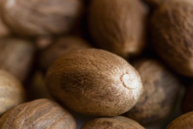 Kuru sağlıklı nutmegs