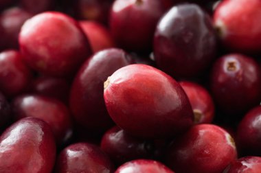 Olgun ham kızılcık