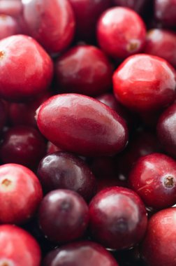 Olgun ham kızılcık