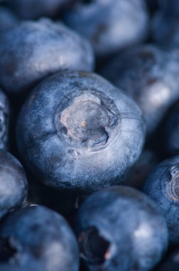 Olgun yaban mersini arka plan