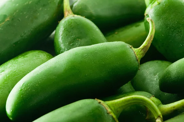 Papričky jalapeňo s vodou kapky — Stock fotografie