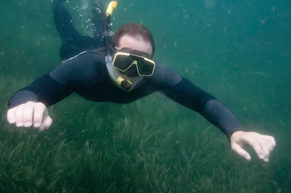 Snorkeler nadando sobre hierba marina — Foto de Stock