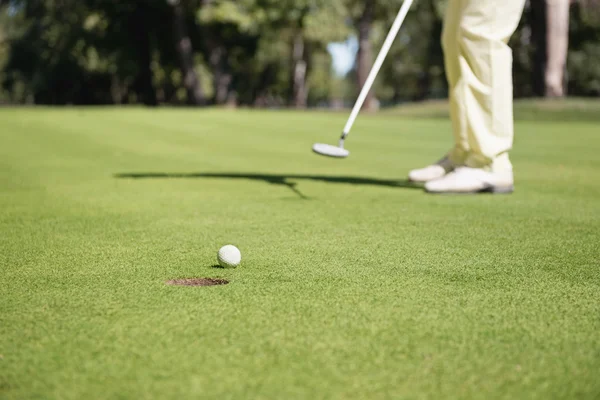 Golfer playing putting shot Stock Picture