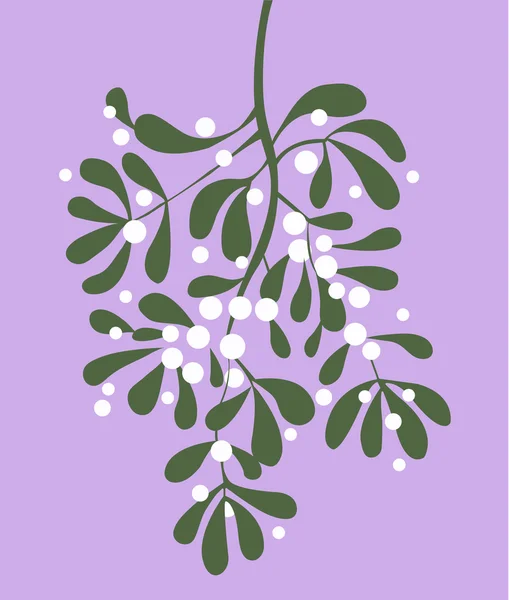 Mistletoe Vector Icon — Stock Vector