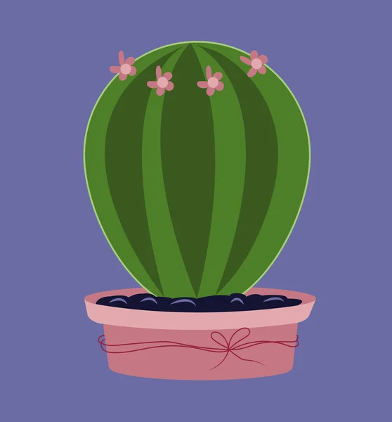 Cactus vectorillustratie — Stockvector