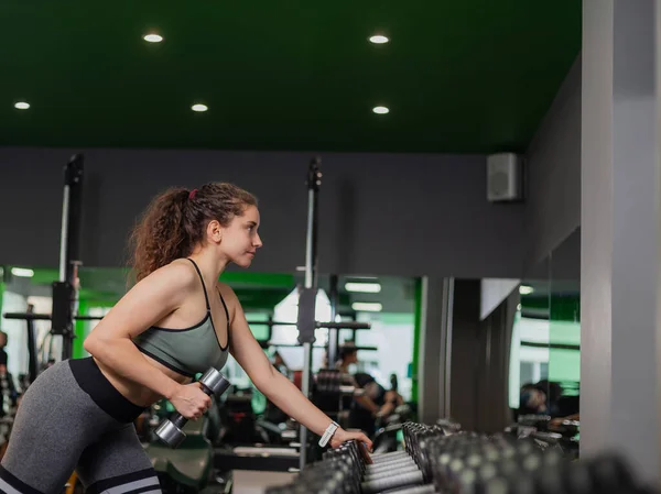 Sexy Young Fit Woman Sportswear Doing Lifting Dumbbell Exercise One — Stock Photo, Image