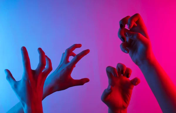 Halloween concept. Female hands with scary gestures. Neon blue-pink gradient light. Night glow. Creative art