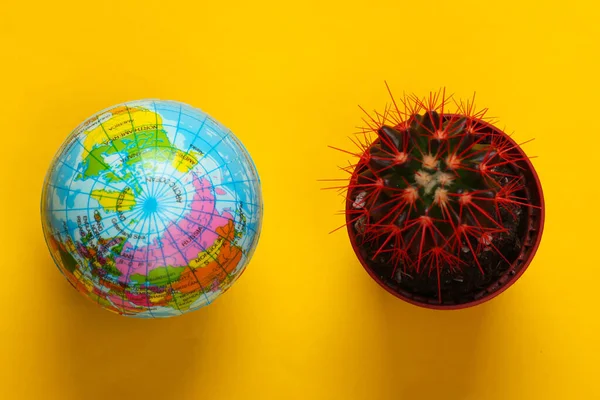Cactus Dans Pot Avec Globe Sur Fond Jaune Plante Intérieur — Photo