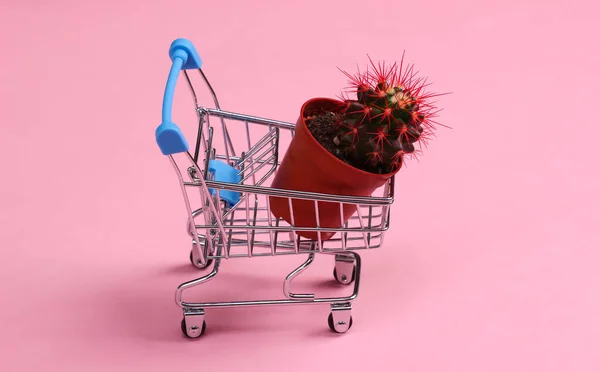 Mini Carrinho Supermercado Com Pote Cacto Fundo Pastel Rosa — Fotografia de Stock