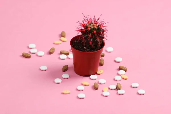 Kaktusz Fazékban Pirulákkal Rózsaszín Háttéren Stúdió Felvétel Minimalizmus — Stock Fotó