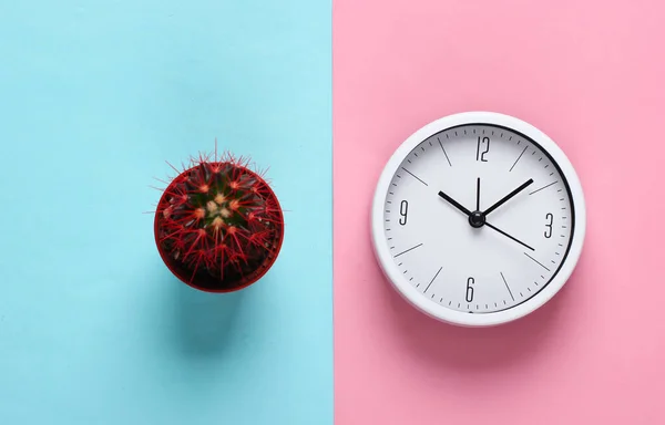 Relógio Com Cacto Sobre Fundo Pastel Azul Rosa Vista Superior — Fotografia de Stock
