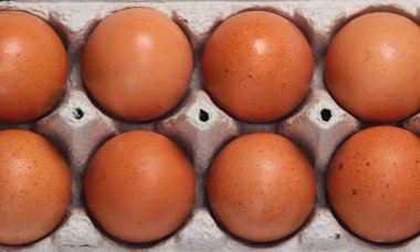 Bir tepsi tavuk yumurtası yakın.