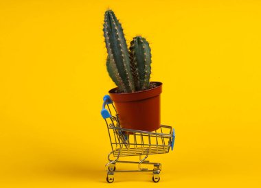 Alışveriş konsepti. Sarı stüdyo arka planında kaktüslü süpermarket arabası. Minimalizm