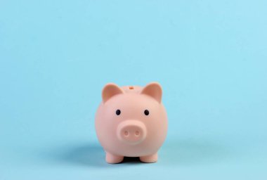 Domuzcuk kumbarası mavi pastel arka planda. Minimalizm