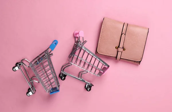 Dois Mini Carrinhos Supermercado Com Carteira Pastel Rosa — Fotografia de Stock