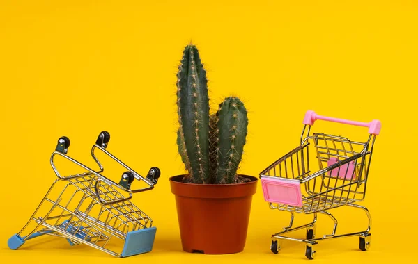 Shopping Concept Cactus Pot Supermarket Trolleys Yellow Studio Background Minimalism — Stock Photo, Image