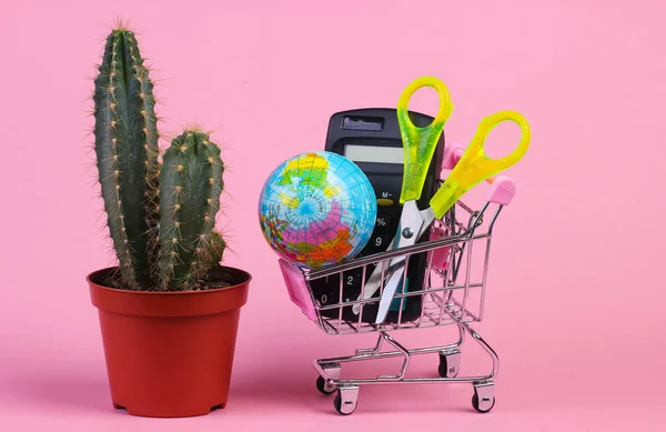 Iskolai Kellékek Egy Bevásárlókocsiban Számológép Földgömb Olló Bevásárlókocsiban Kaktusz Rózsaszín — Stock Fotó