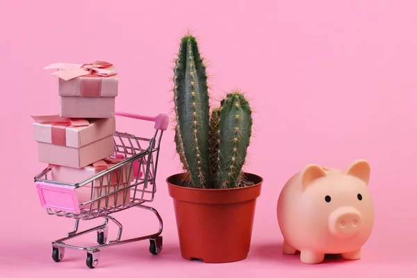Kaktusz Cserépben Bevásárlókocsiban Ajándékdobozokkal Malacpersely Rózsaszín Stúdió Háttérrel Minimalizmus — Stock Fotó