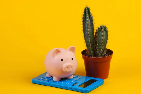 Banco Piiggy Con Calculadora Primer Plano Cactus Sobre Fondo Amarillo — Foto de Stock