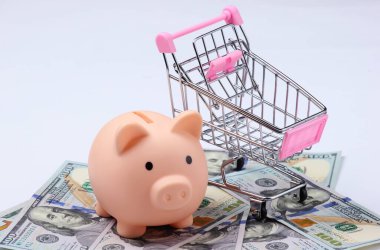 Domuz kumbarası, alışveriş arabası ve yüz dolarlık banknotlar..