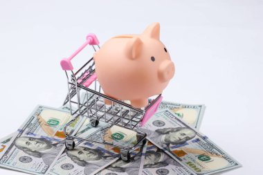 Domuz kumbarası, alışveriş arabası ve yüz dolarlık banknotlar..