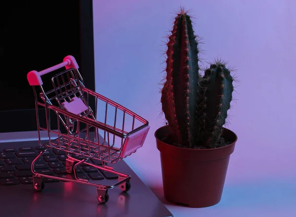 Mini Szupermarket Kocsi Laptop Billentyűzeten Kaktusz Neon Gradiens Vörös Kék — Stock Fotó