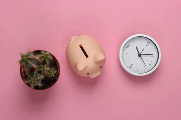 Czas Zainwestować Biały Zegar Skarbonka Kaktusy Różowym Pastelowym Tle Minimalistyczne — Zdjęcie stockowe