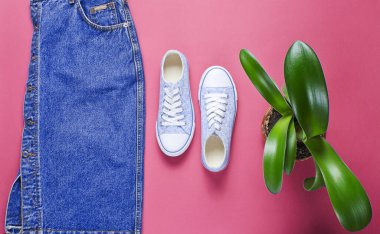 Gündelik kadın kot eteği ve spor ayakkabısı manzarası. Kırmızı arka planda yeşil bir saksı. Minimalizm