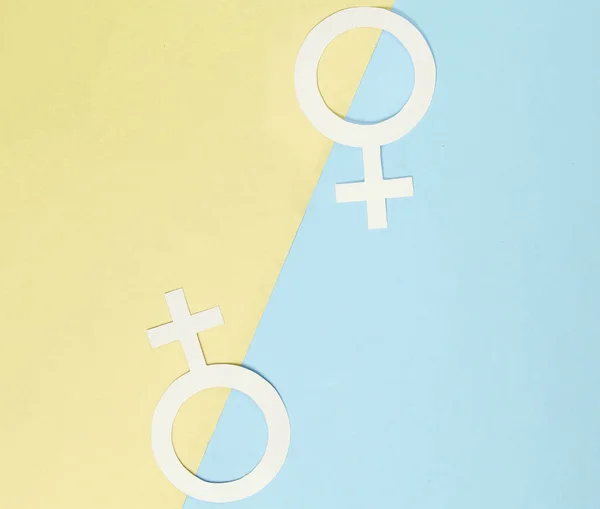 Twee Gendersymbool Feminisme Pastelachtergrond Bovenaanzicht Lgbt Gemeenschap Minimalisme — Stockfoto