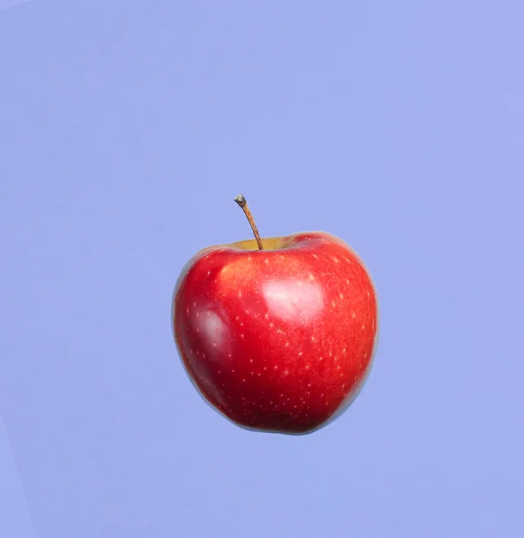 Rijp Rode Appel Een Blauwe Achtergrond — Stockfoto