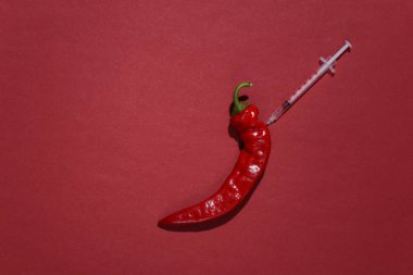 Kırmızı arka planda şırıngalı kırmızı biber. GMO teması