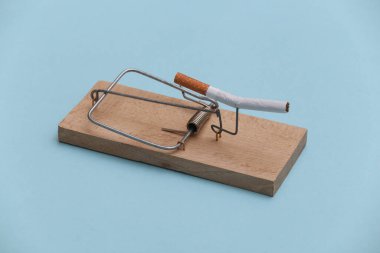 Mavi arka planda sigarası olan bir fare kapanı. Tuzak, sigara bağımlılığı