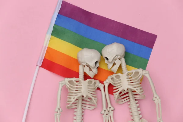 Bandera Arco Iris Lgbt Dos Esqueletos Sobre Fondo Rosa Relaciones — Foto de Stock